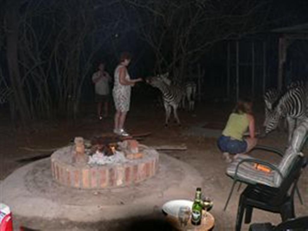 Kruger Marloth Park