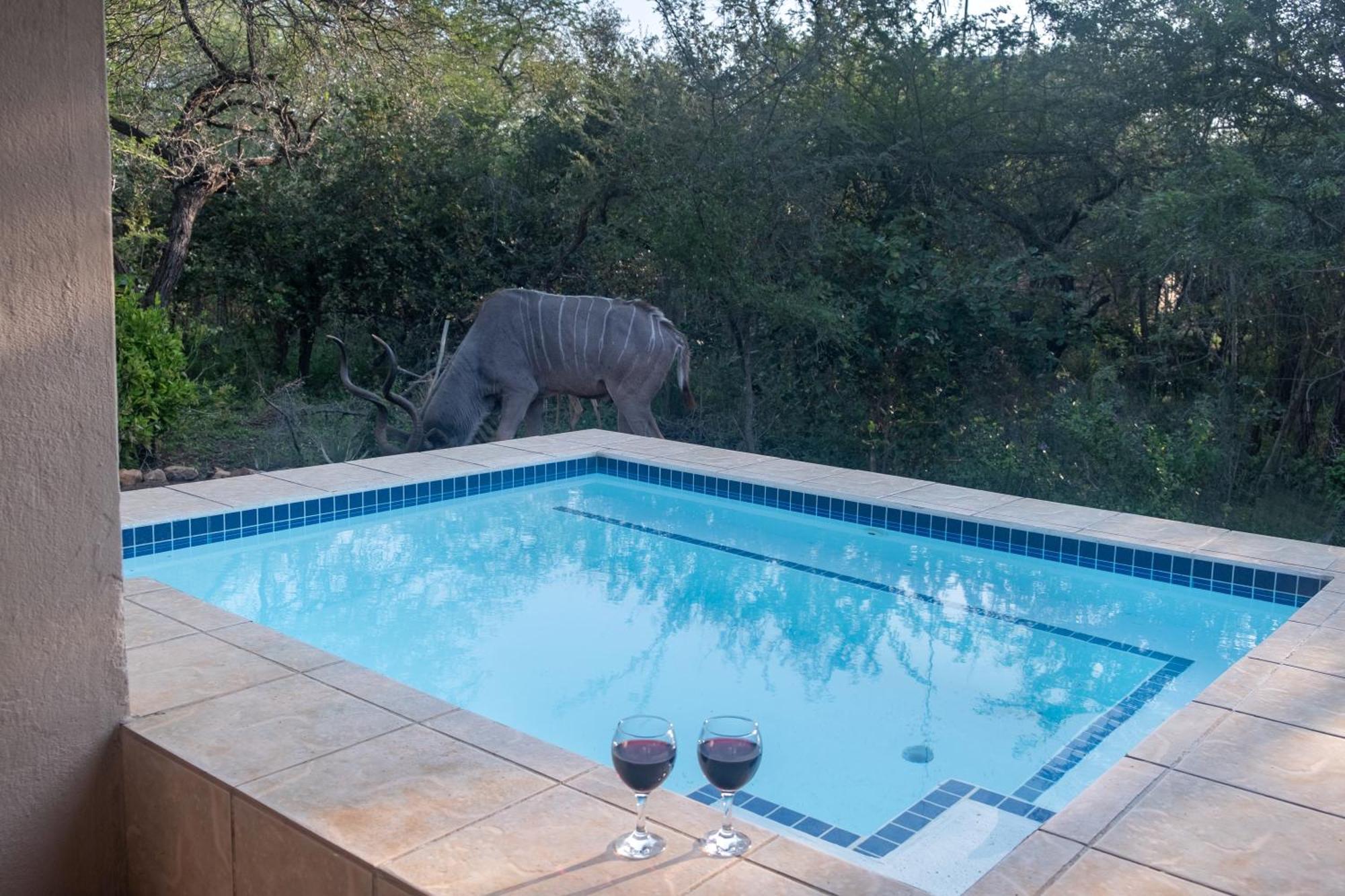 Kruger Marloth Park