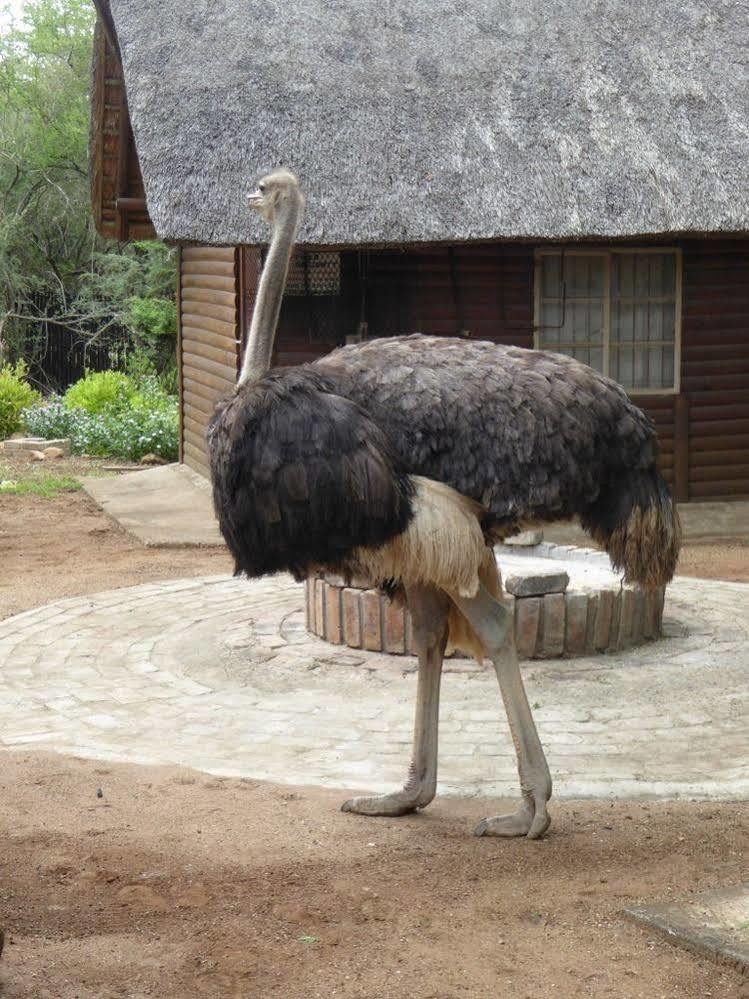 Ferienhaus Kruger Marloth Park